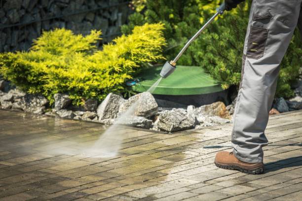 Best Roof Washing  in Beverly Hills, FL